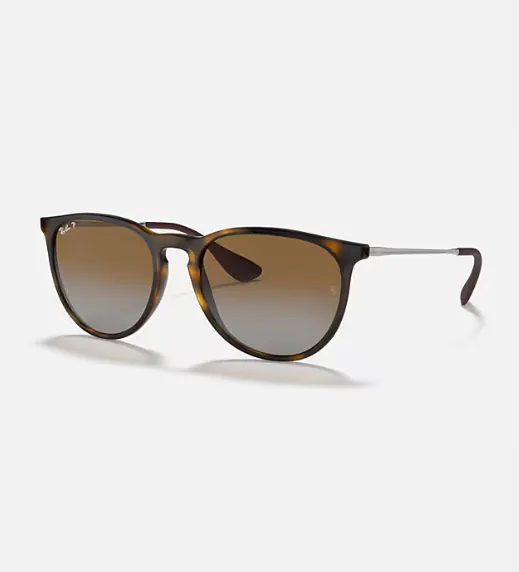 Ray Ban Erika Classic Sunglasses